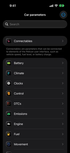 Car parameters in Pelican, with the three-dot menu at the top right.